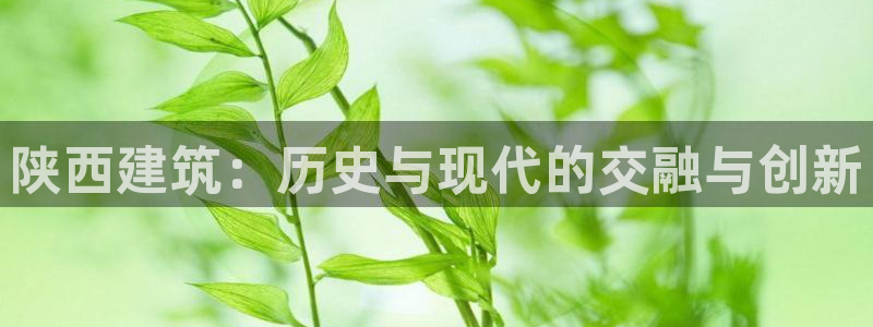 宾果彩票平台乐发