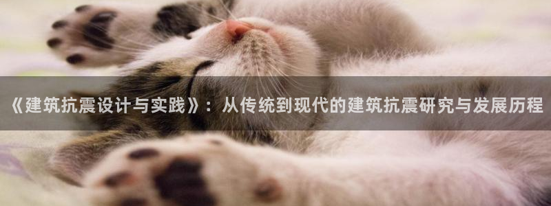 乐发彩票是什么平台