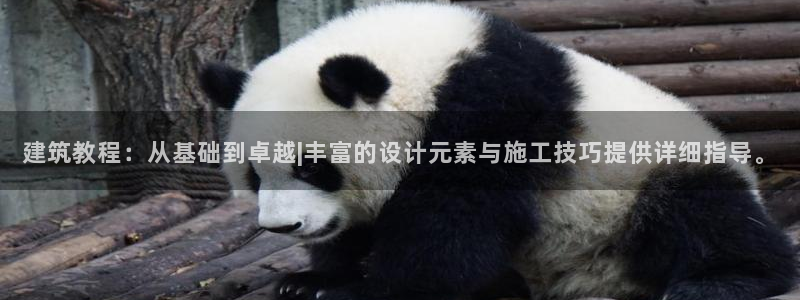 乐跑工资发平台还是卡里