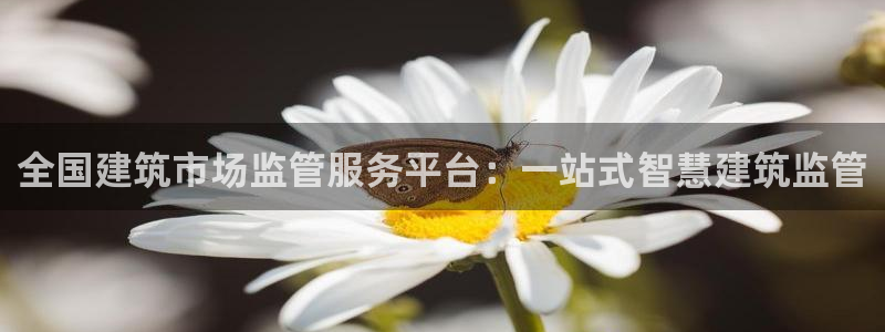 乐发官网平台