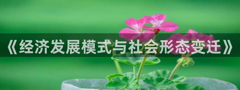 乐发第一娱乐平台邀请码