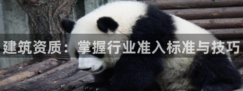 乐发最新平台：建筑资质：掌握行业准入标准与技巧