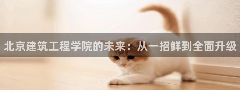 乐发1彩票平台：北京建筑工程学院的未来：从一招鲜到全面升级
