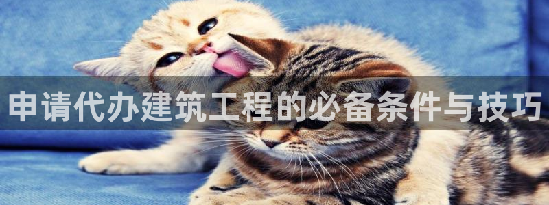 乐发国际平台官网：申请代办建筑工程的必备条件与技巧