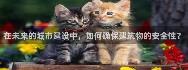 乐发彩票平台：在未来的城市建设中，如何确保建筑物的安全性？
