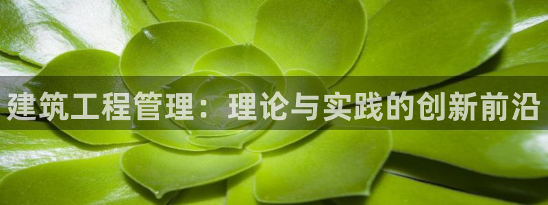 乐发平台今天咋打不开