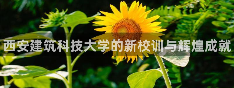 乐发是什么平台