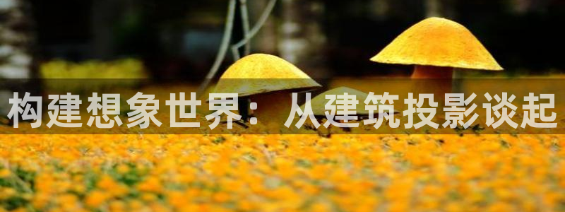 乐发3彩票平台