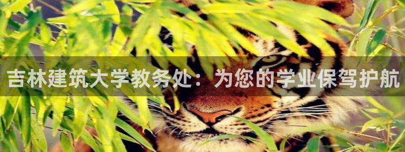 u乐娱乐平台发