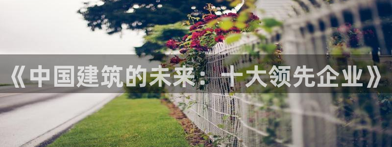 乐发平台怎么样知乎
