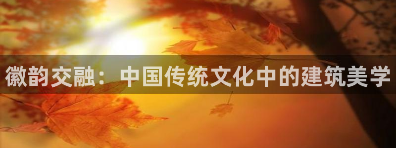 乐发平台怎么换邀请码呢