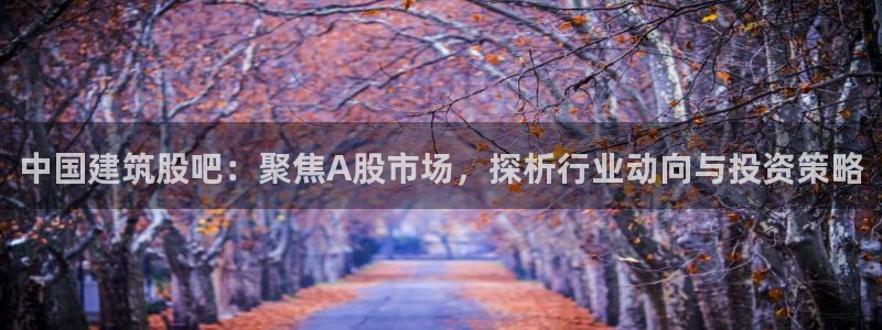 乐发彩票平台网址：中国建筑股吧：聚焦A股市场，探析行业动向与投资策略