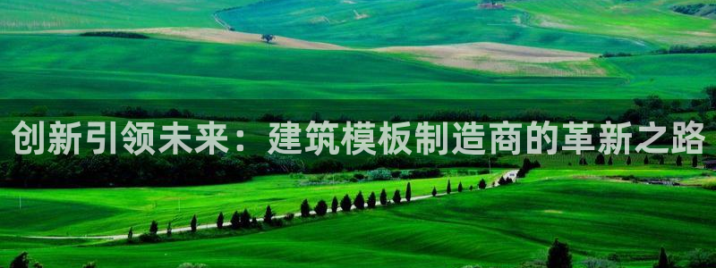 乐发是大平台吗：创新引领未来：建筑模板制造商的革新之路