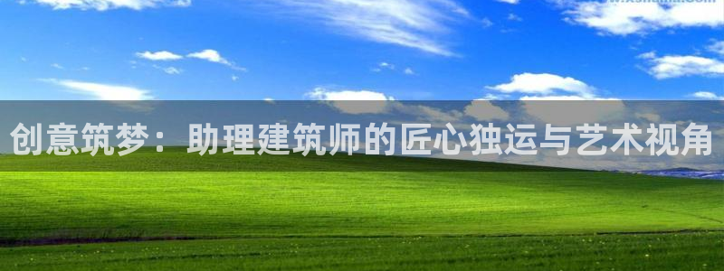 久乐发广告任务平台：创意筑梦：助理建筑师的匠心独运与艺术视角