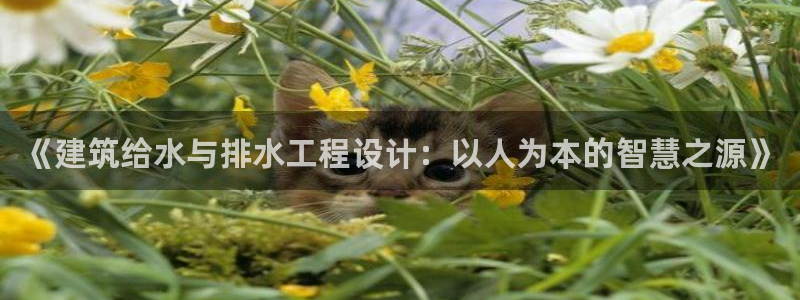 乐发体育平台官网：《建筑给水与排水工程设计：以人为本的智慧之源》