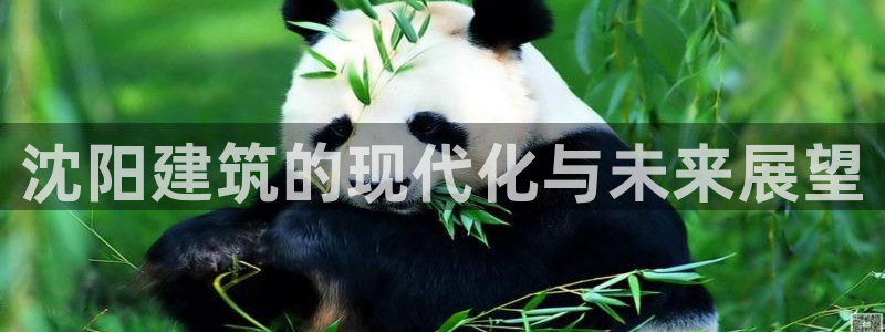 乐发lv官方平台：沈阳建筑的现代化与未来展望
