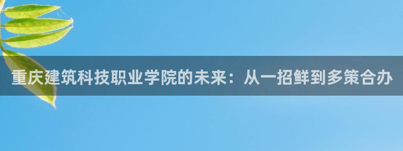 乐发平台注册资金多少：重庆建筑科技职业学院的未来：从一招鲜到多策合办