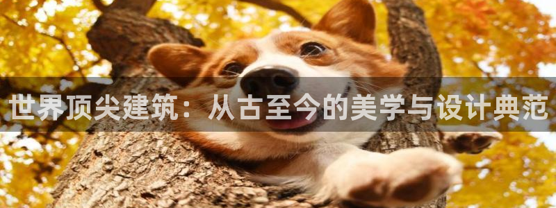 乐发彩票平台wx17 com：世界顶尖建筑：从古至今的美学与设计典范