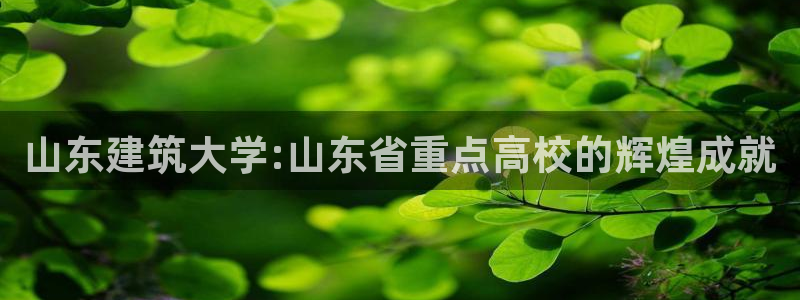 必乐2平台发：山东建筑大学:山东省重点高校的辉煌成就