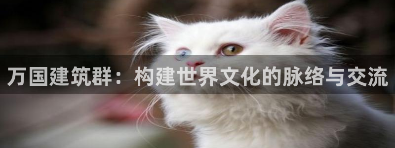 乐发传媒平台放单：万国建筑群：构建世界文化的脉络与交流