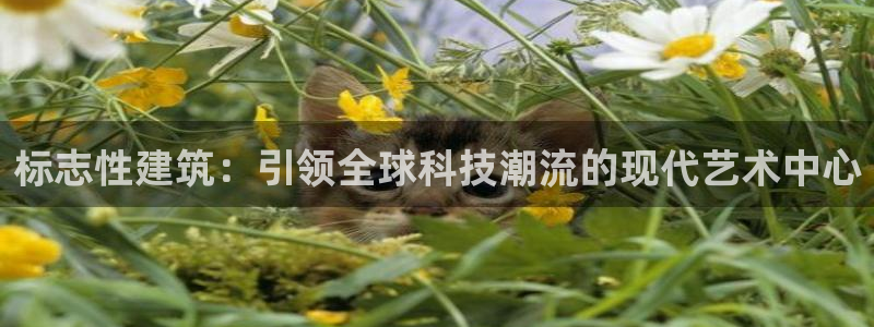 乐发旗下的平台有多少家：标志性建筑：引领全球科技潮流的现代艺术中心