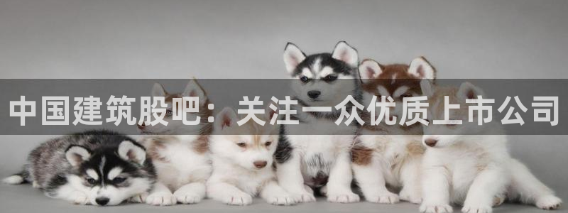 乐发平台注册地址怎么填：中国建筑股吧：关注一众优质上市公司