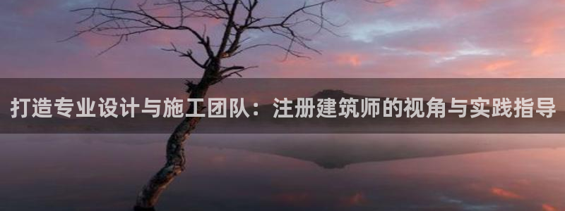 亿发乐登录平台：打造专业设计与施工团队：注册建筑师的视角与实践指导